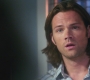 SPN_1123.jpg