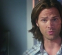 SPN_1133.jpg