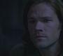 SPN_1147.jpg