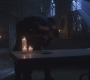 SPN_1180.jpg