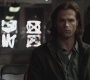 SPN_0900.jpg