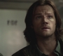 SPN_0938.jpg