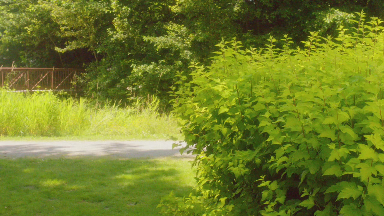 SPN_1182.jpg