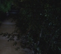 SPN_0003.jpg