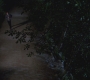SPN_0004.jpg