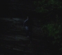 SPN_0006.jpg