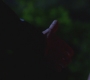 SPN_0026.jpg