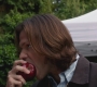 SPN_0041.jpg