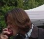 SPN_0042.jpg