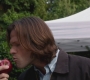 SPN_0043.jpg