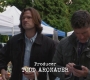 SPN_0061.jpg