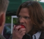 SPN_0087.jpg