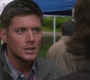 SPN_0095.jpg