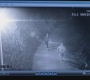 SPN_0133.jpg