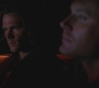 SPN_0532.jpg