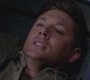 SPN_1066.jpg