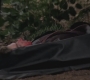 SPN_0482.jpg