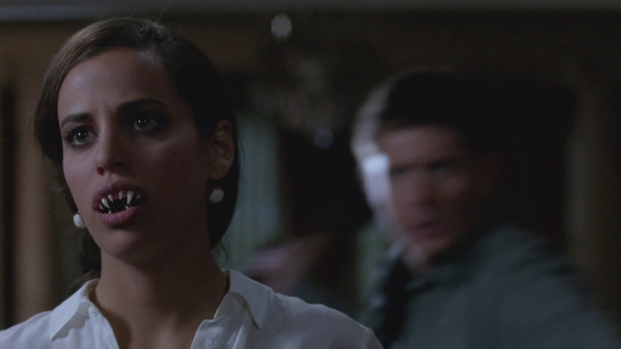 SPN_1231.jpg