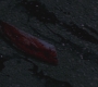SPN_0126.jpg