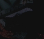 SPN_0127.jpg