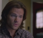SPN_0254.jpg