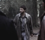SPN_0428.jpg