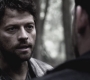 SPN_0442.jpg