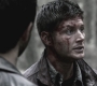 SPN_0476.jpg