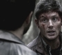 SPN_0479.jpg