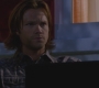 SPN_0508.jpg