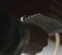 SPN_0552.jpg