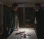 SPN_0559.jpg