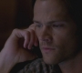 SPN_0784.jpg