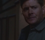 SPN_0947.jpg