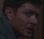 SPN_0954.jpg