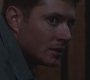 SPN_0955.jpg