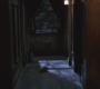 SPN_0995.jpg