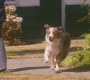 SPN_1053.jpg