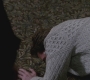 SPN_1177.jpg