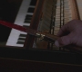 SPN_1192.jpg