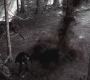 SPN_1265.jpg