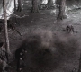 SPN_1266.jpg