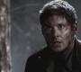SPN_1271.jpg
