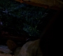 SPN_0008.jpg