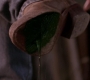 SPN_0264.jpg