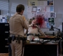 SPN_1018.jpg