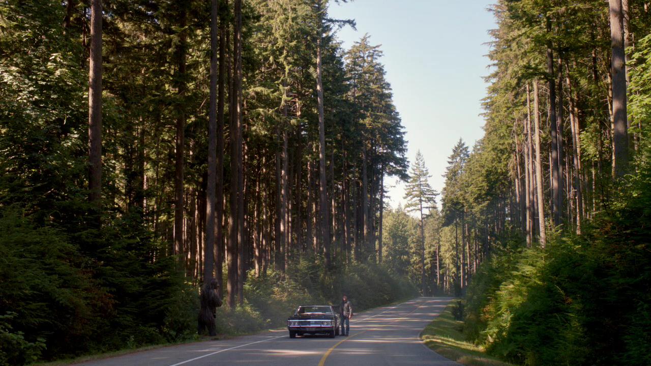 SPN_0091.jpg