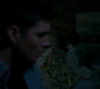 SPN_0348.jpg