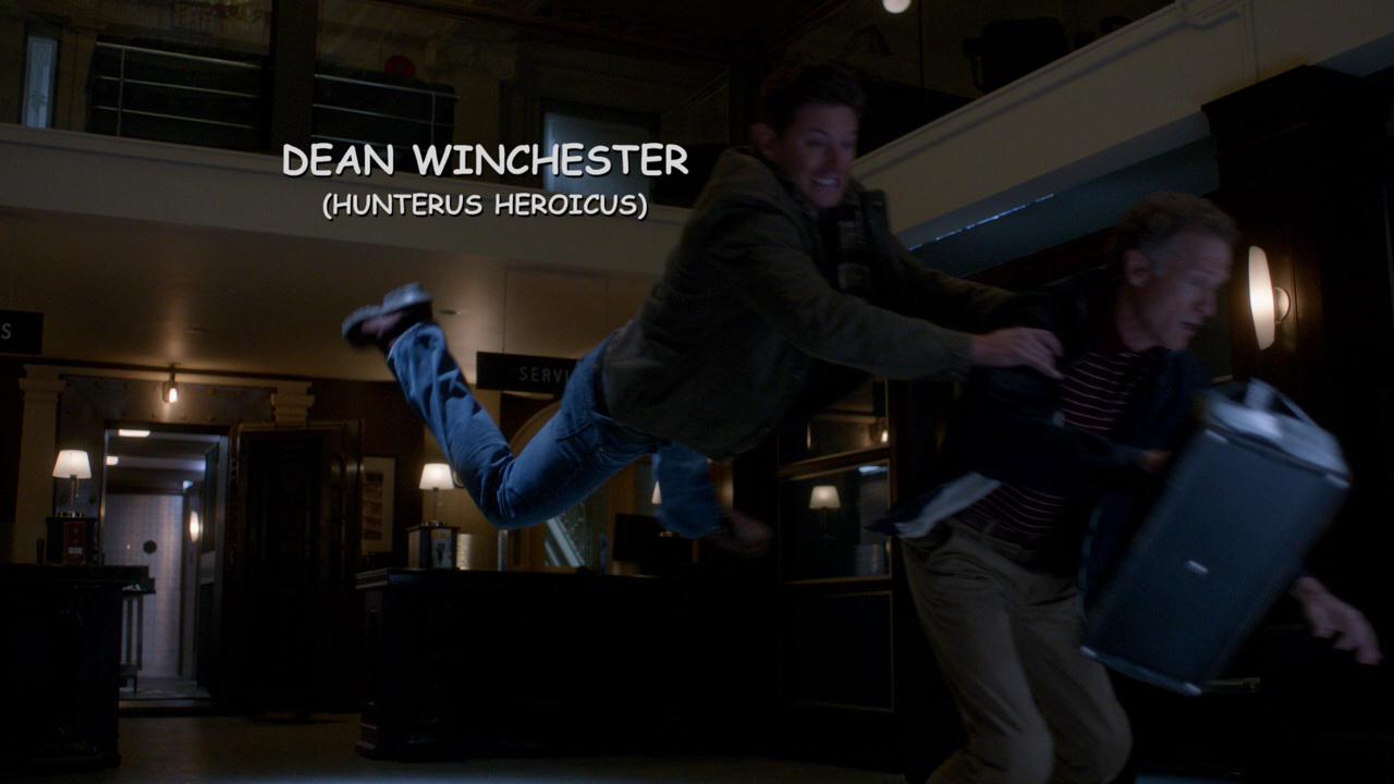SPN_1229.jpg