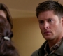 SPN_0971.jpg